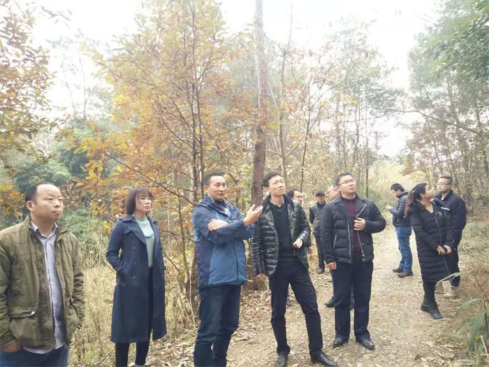 1583393707846718.jpg 5.jpg