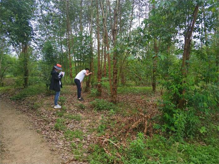 1583395811494844.jpg 2.jpg