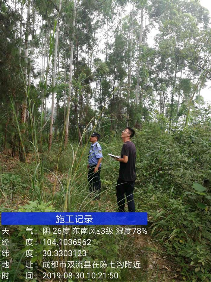 1583395823500546.jpg 4.jpg