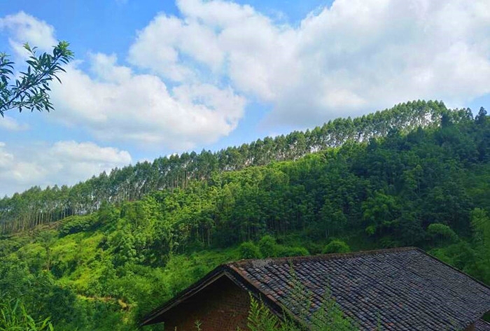 1584426223172920.jpg 大观牟家_看图王.jpg